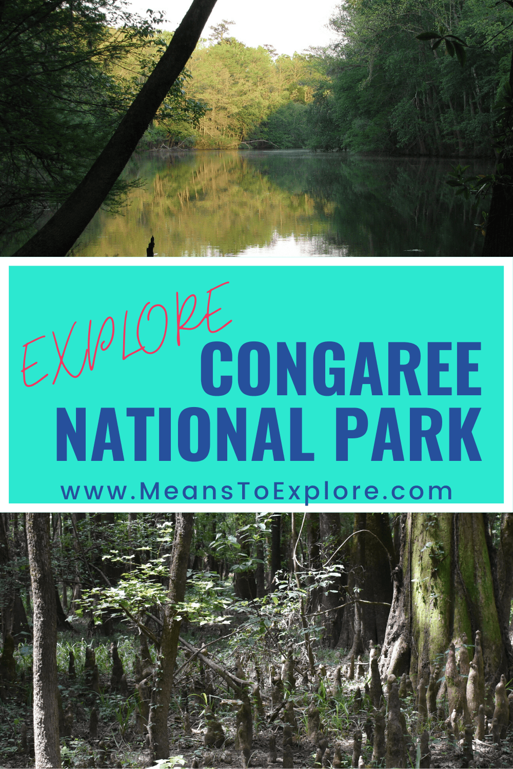 congaree national park tshirt