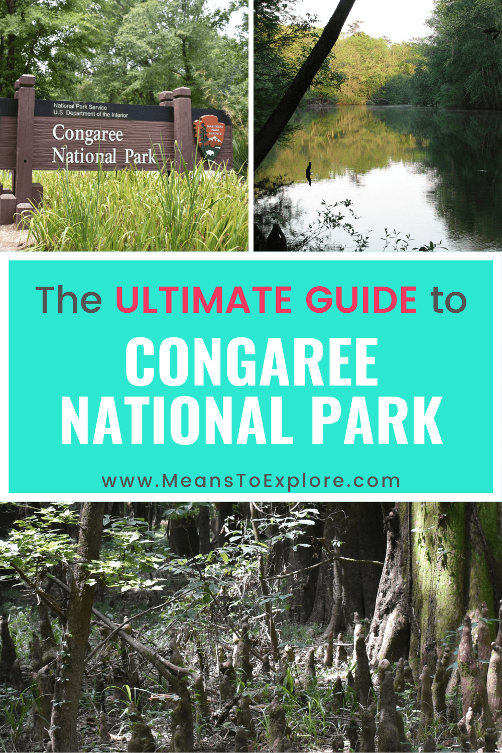 The Ultimate Guide to Congaree National Park: Save Time Planning Your Trip!