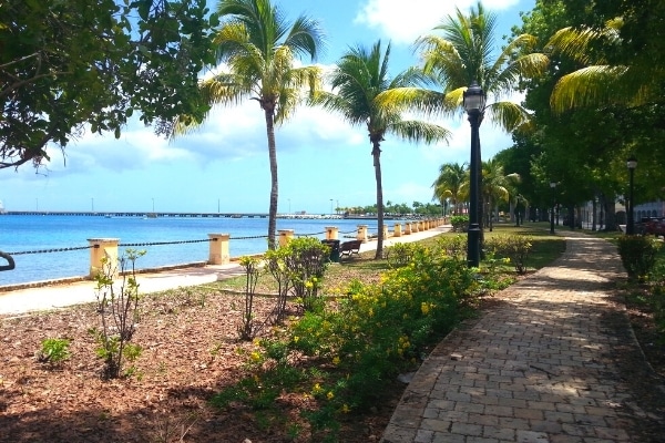 Palm-shaded path and park on a sunny day, looking at the ocean and pier in Frederiksted, St Croix, USVI