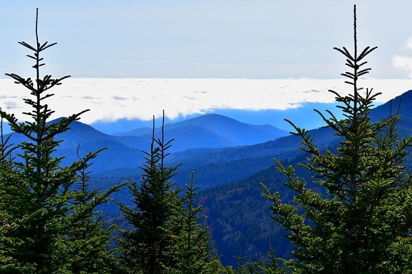 Blue mountains lie below a blanket of white clouds, as seen from the summit of Mt Mitchell