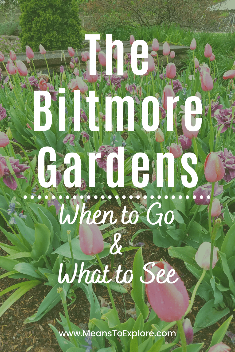 The Beautiful Biltmore Gardens: Complete Guide for When to Go & What to See