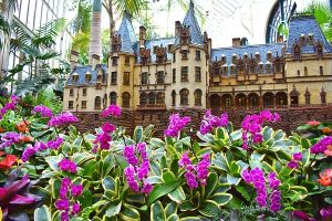 Read more about the article The Beautiful Biltmore Gardens: Complete Guide for When to Go & What to See