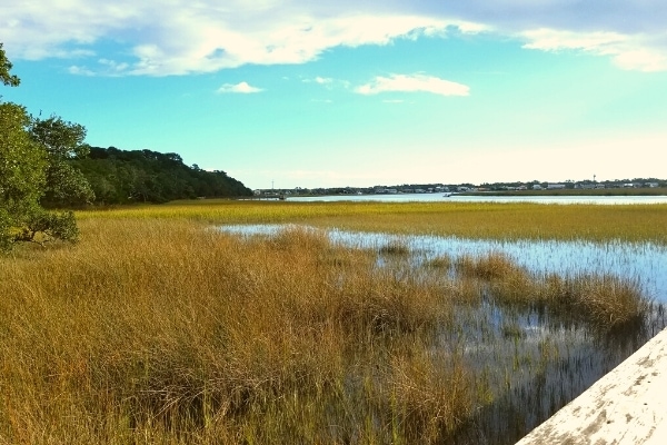 Big Bay Creek's yellow-brown marsh as seen from the Edisto Beach State Park dock on a clear blue-sky day