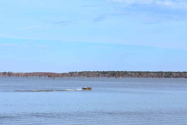 A blue sky and blue Lake Marion are divided by a brown tree line on the horizon as a single boat jets across the lake