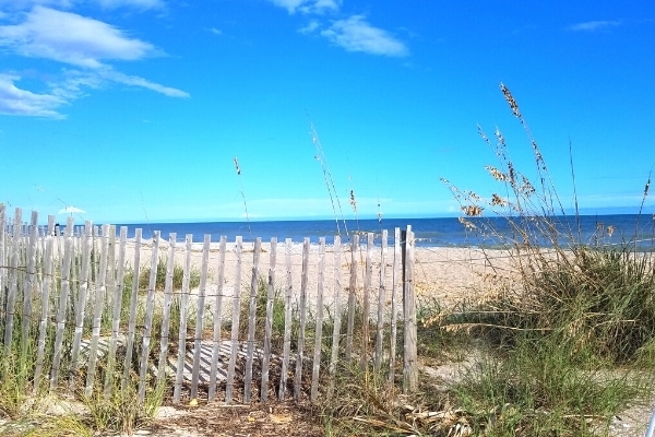 Clear blue skies over a blue ocean with a sandy beach with dune fence and grass