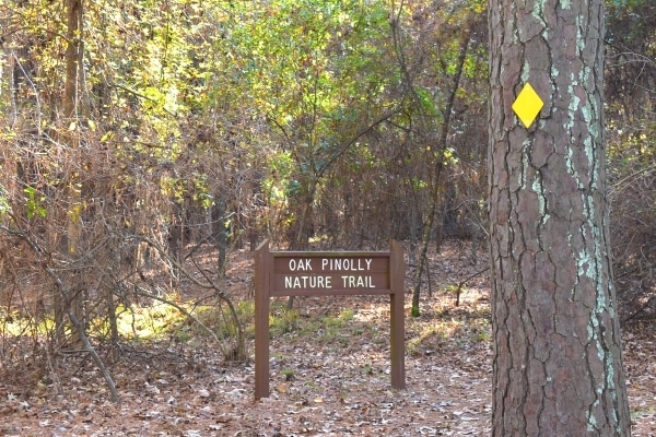 Brown Trailhead sign for Oak Pinolly Nature Trail at Santee State Park with yellow blaze marker on oak tree
