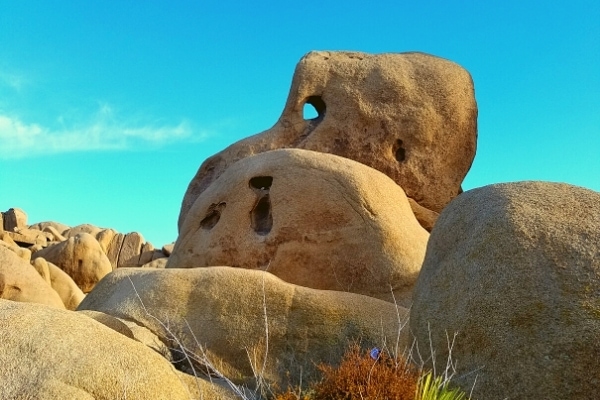 Large boulders of Joshua Tree National Park eroded with holes through to look like a dinosaur head