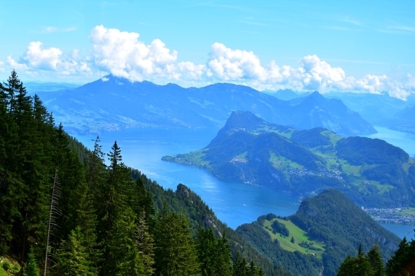 Mountain view of green forested mountains, blue sky with white clouds, and blue Lake Lucerne in the valley