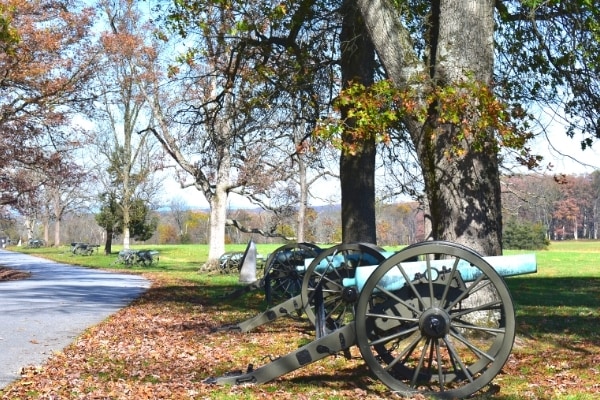 Civil War cannons line the edge of a wooded area along Seminary Ridge at Gettysburg