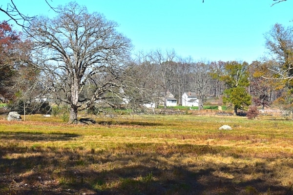 Brown grass and a bare large oak tree with a white farmhouse and barn in the distance