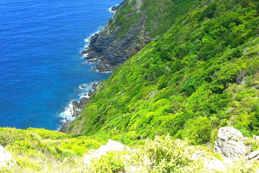 Green forested cliffs of the north shore of St Croix, as seen from Hams Bluff Lighthouse