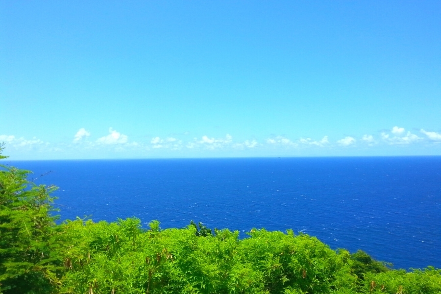 Deep blue Caribbean Sea under a light blue sky as seen from the green cliffs of St Croix