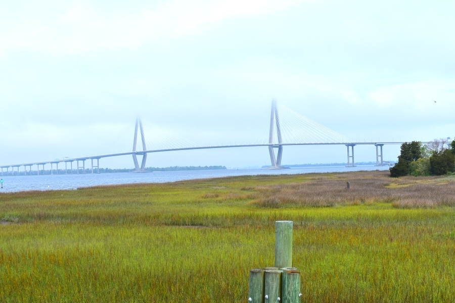 Green salt marsh with the Ravenel cable stayed bridge in the background