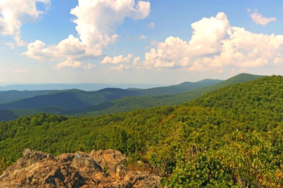 Views of the forested Blue Ridge Mountains on a sunny day in Shenandoah