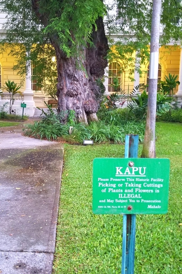 Green Kapu sign near Iolani Palace in Honolulu, HI, warning it's forbidden to pick flowers or cut plants