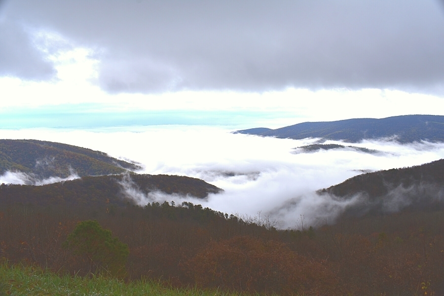 Thick white clouds fill a mountain valley on a gray day in Shenandoah National Park