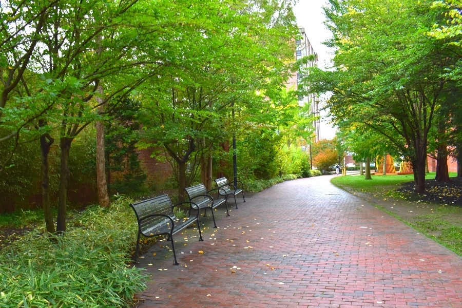 An empty and peaceful pedestrian path with three black benches is surrounded by green trees, shrubs, and grass.