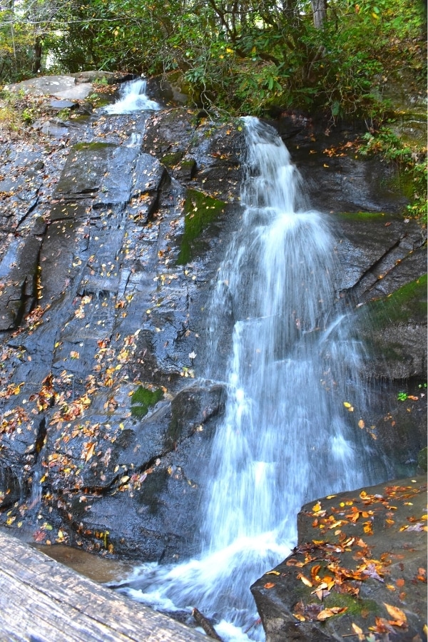 A single spray of water falls down a vertical rock face covered in yellow fall leaves at the Juney Whank Waterfall in Great Smoky Mountains National Park