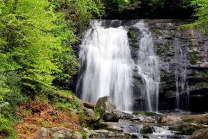 Read more about the article 7 Easy to Reach Waterfalls in the Smoky Mountains near Gatlinburg