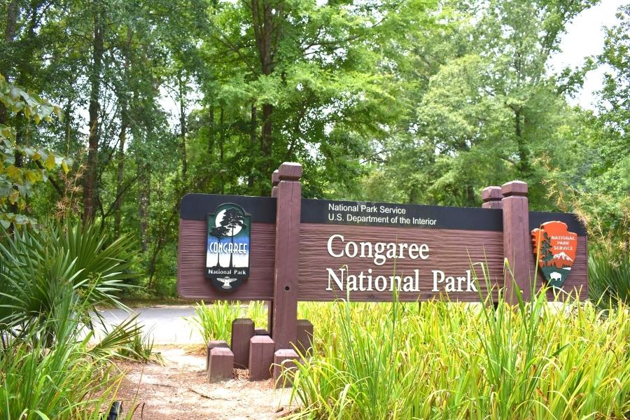 Brown entrance sign to Congaree National Park with green palm fronds at trees surrounding the sign