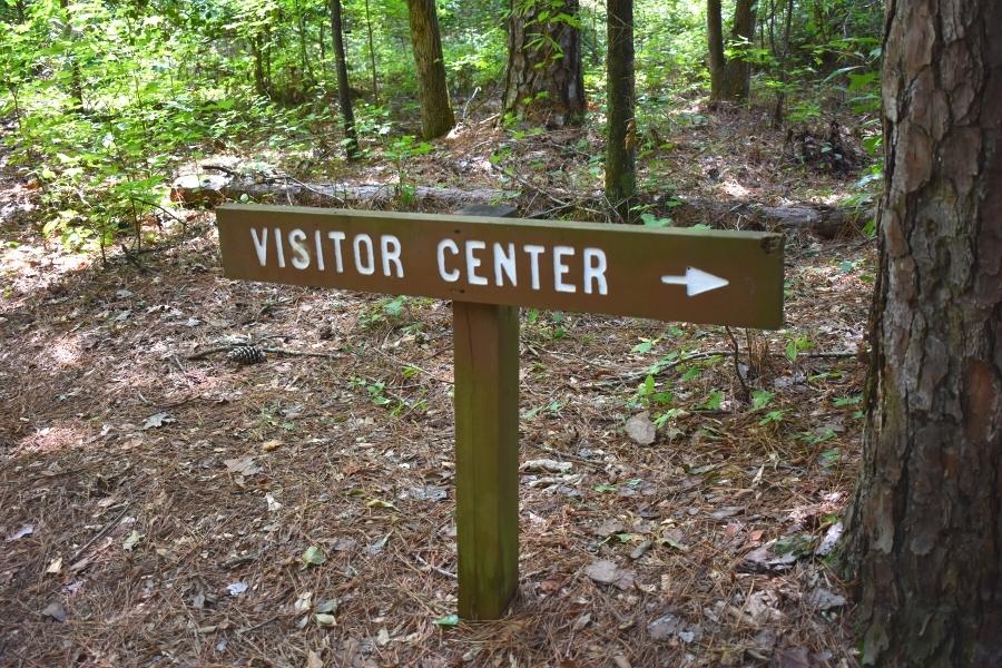 Brown directional sign in pine forest pointing the way to the Congaree National Park visitor center