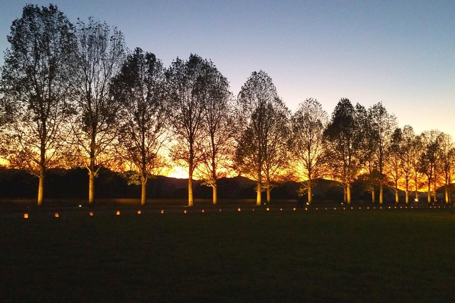 The tree-lined walkway at the Biltmore House is lit from below by tea candle lights as a beautiful orange sunset shines behind it on a clear evening