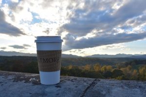 Read more about the article 35 Useful Tips for Visiting the Biltmore Estate on a Budget