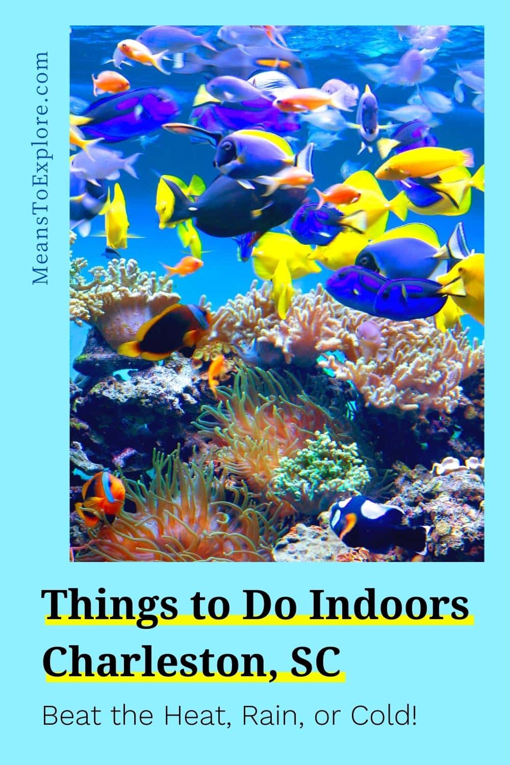 25 Indoor Activities In Charleston Sc