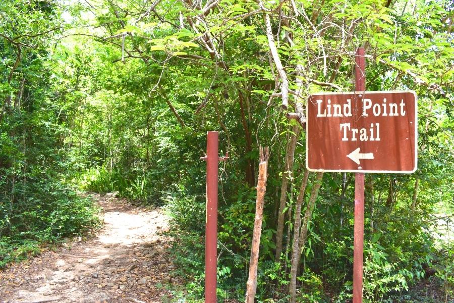 Thick green forest surrounds a shaded gravel and dirt path on St John, USVI with a brown sign identifying the path as the Lind Point Trail
