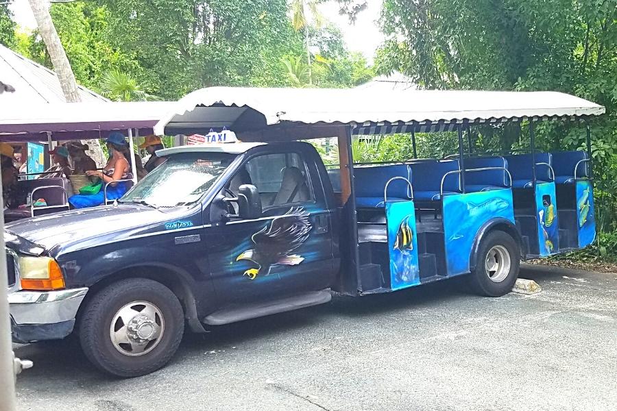 A blue St John safari-style taxi with a truck front, and 5 rows of padded bench seating in the back shaded by a white overhead awning. The blue taxi is uniquely painted with a bald eagle on the driver door and various ocean fish on the sides.