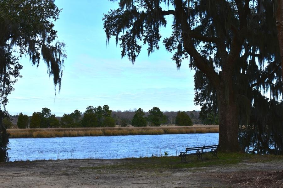 The Ashley River flows past tan grass under a clear blue sky, overlooked by shadowy oak trees and a bench on the shore