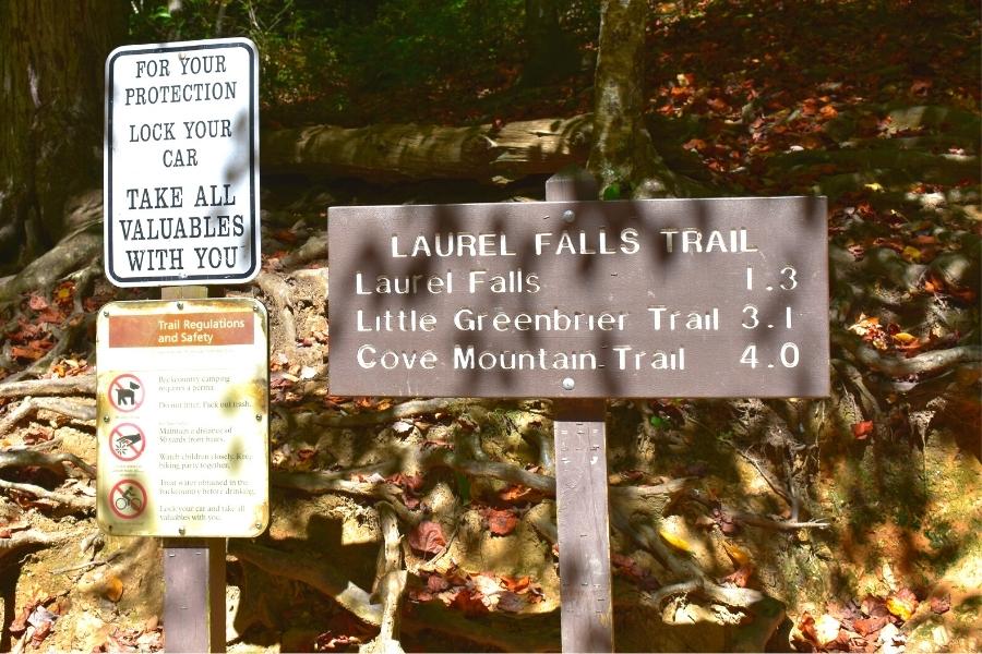 A brown trailhead sign indicates the Laurel Falls trail is 1.3 miles long. Another sign reminds hikers to lock their cars and hide valuables, and another sign provides guidance on trail safety and rules.