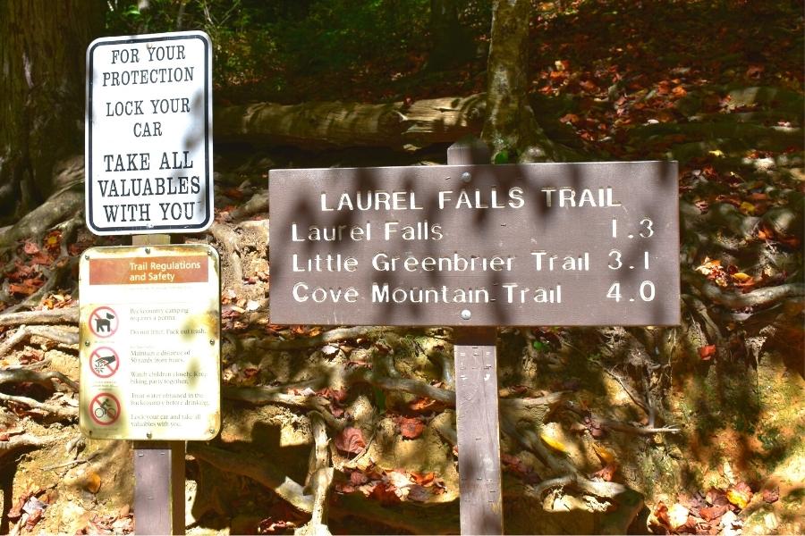 A brown trailhead sign indicates the Laurel Falls trail is 1.3 miles long. Another sign reminds hikers to lock their cars and hide valuables, and another sign provides guidance on trail safety and rules.