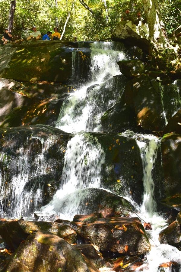 White frothy water cascades down a shaded rocky outcropping at the Lower Laurel Falls