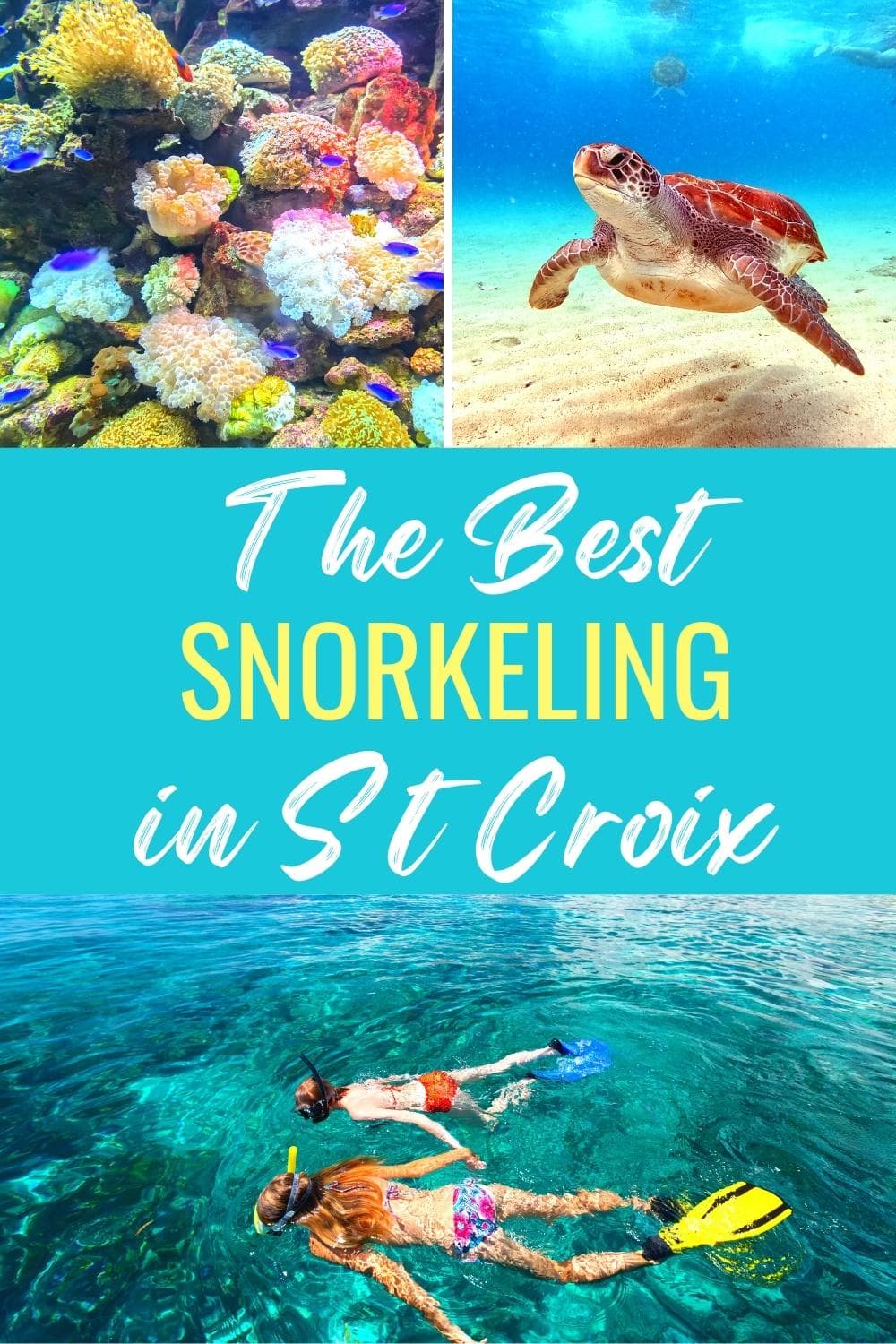 Top 5 Best St Croix Snorkeling Spots You Can’t Miss