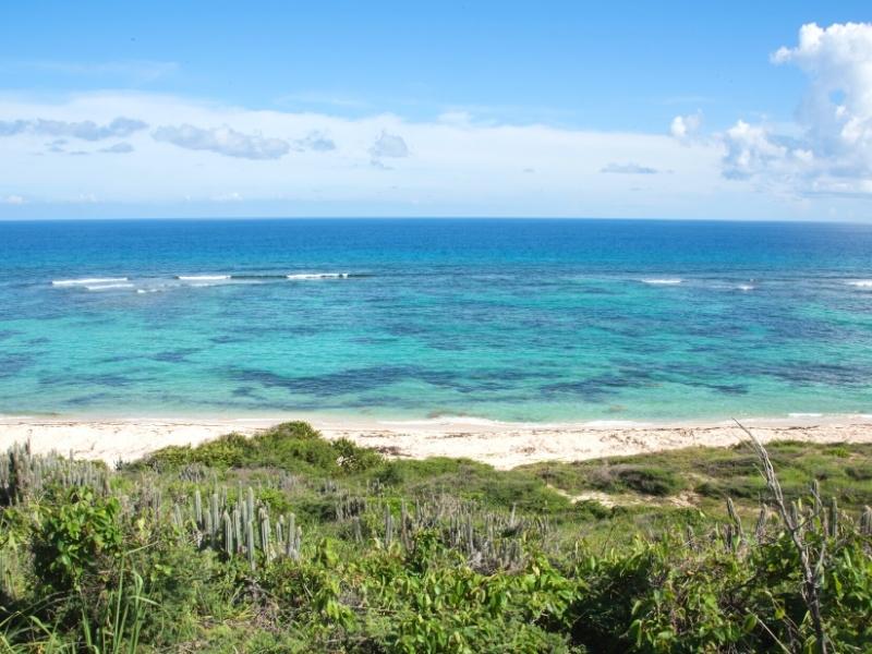 Blue water under a blue sky at Isaac Bay St Croix, with the sandy beach visible from the green hillside