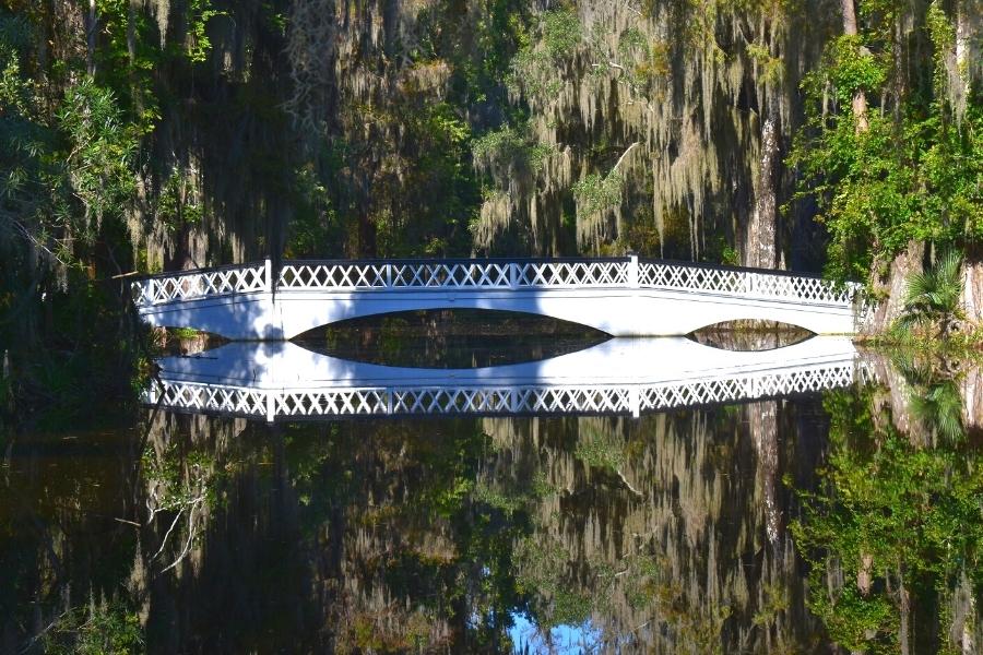 The white bridge at Magnolia Plantation is surrounded by live oak trees with Spanish moss, reflected in the pond