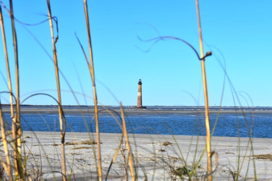 The brick Morris Island Lighthouse sits on its bare island in the middle of the blue sea, with dune grass in the foreground