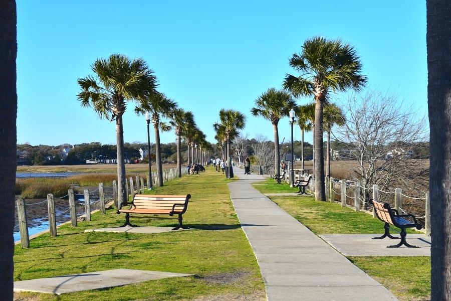 A concrete sidewalk lined with palmetto trees on both sides and a green grass walkway on the left is also dotted with benches for admiring the salt marsh on a blue sky day