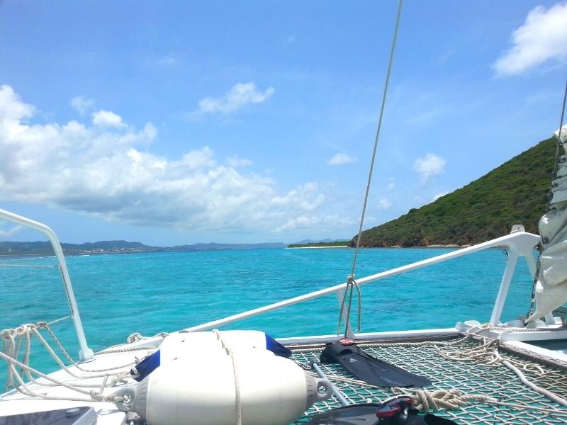 A catamaran glides across the aqua blue waters near Buck Island St Croix