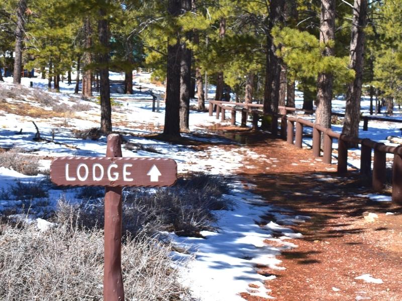 The Lodge at Bryce Canyon's trail connecting to the Rim Trail, with snow melting under the trees on a warm later winter day