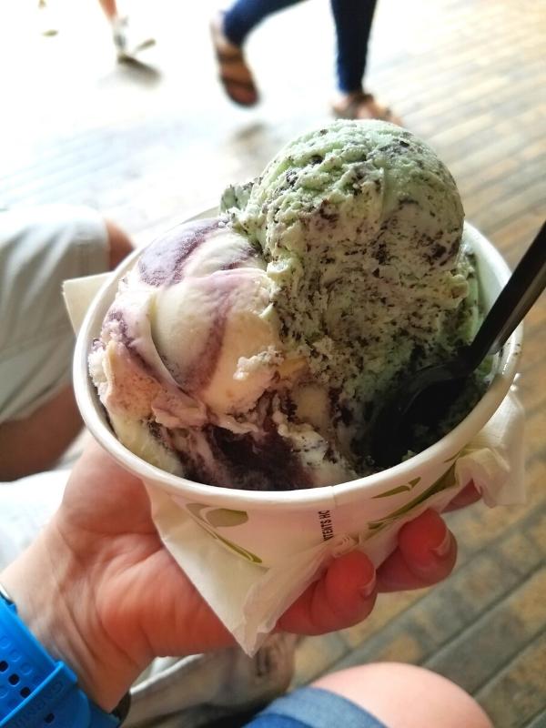 Biltmore Dairy ice cream served in a cup and enjoyed at the Stable Courtyard