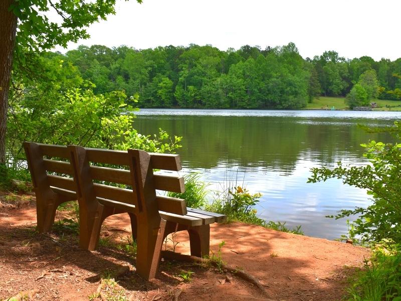 A simple bench faces a calm lake with a forested shore opposite at Andrew Jackson State Park