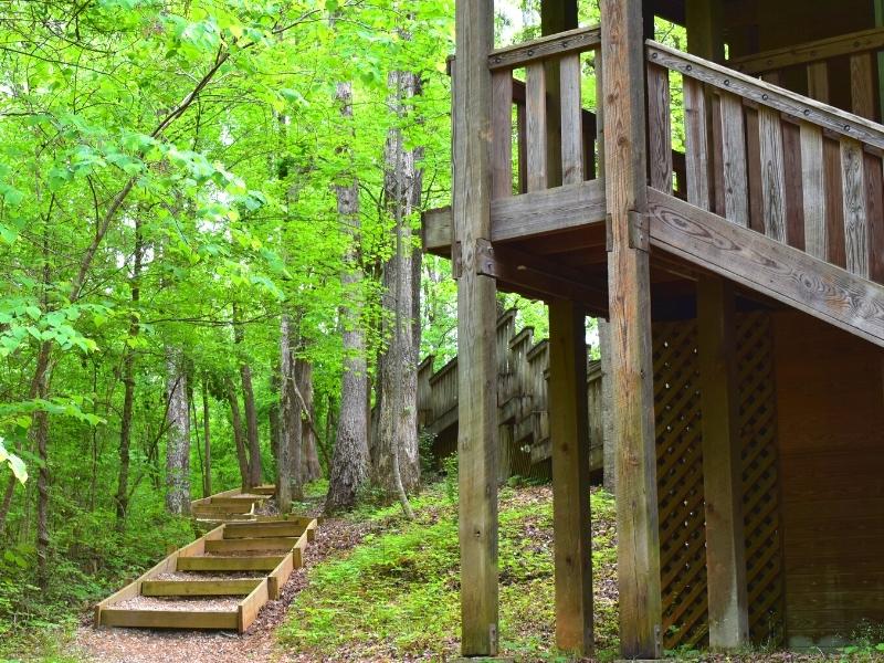 A wooden amphitheater rises above the forest floor, with a set of gravel stairs off to the left in the forest