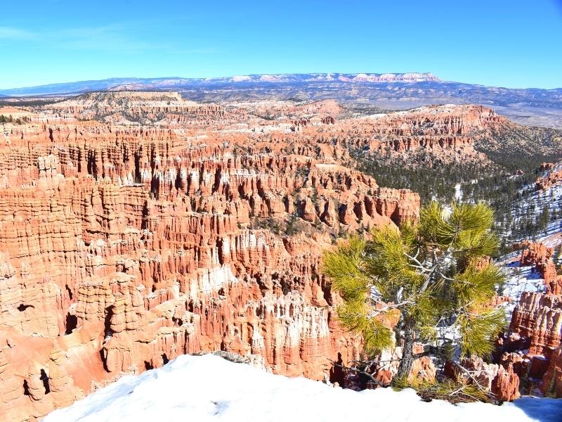 Hundreds of orange hoodoos line the canyon at Inspiration Point in Bryce Canyon National Park