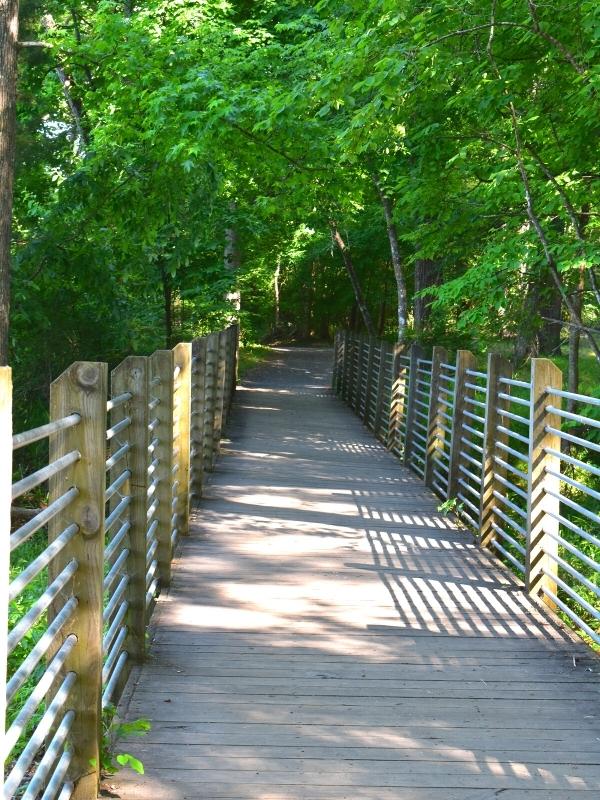 The Nature Trail at Landsford Canal State Park heads into a green forest.