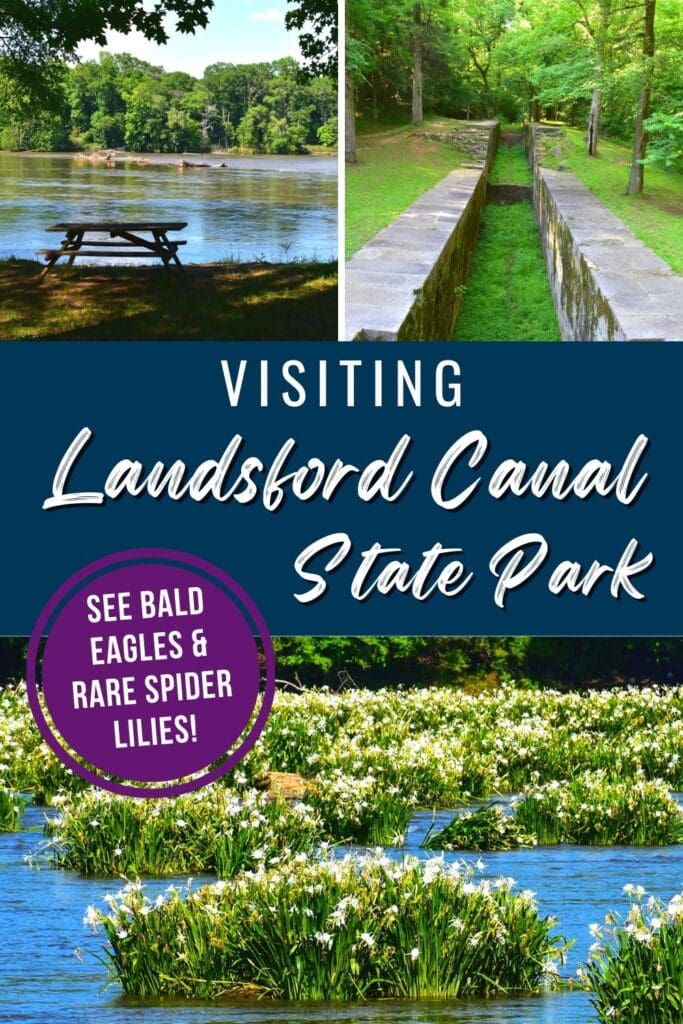 A collage of spider lilies in bloom, canal ruins, and a picnic table next to the Catawba River with text overlay "Visiting Landsford Canal State Park: See Bald Eagles & Rare Spider Lilies!"