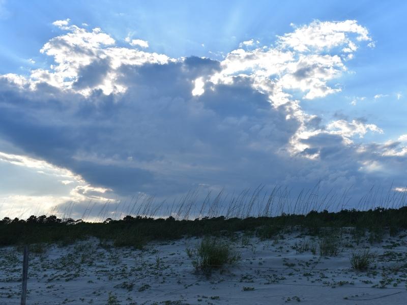 Large cumulonimbus clouds backlit by sunlight over the dunes of Myrtle Beach State Park