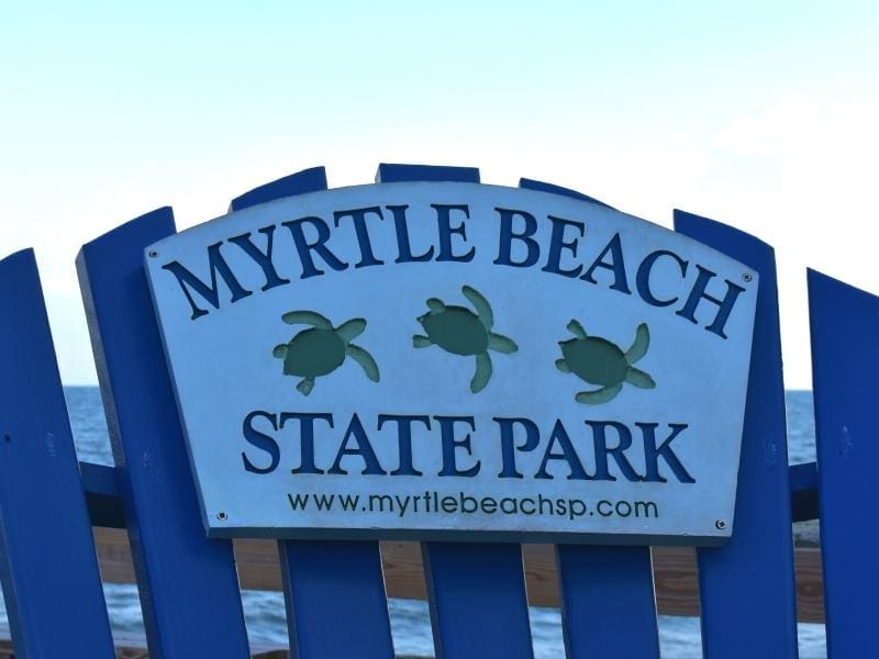 Dark blue oversized adirondack chair with a "Myrtle Beach State Park" sign with sea turtles