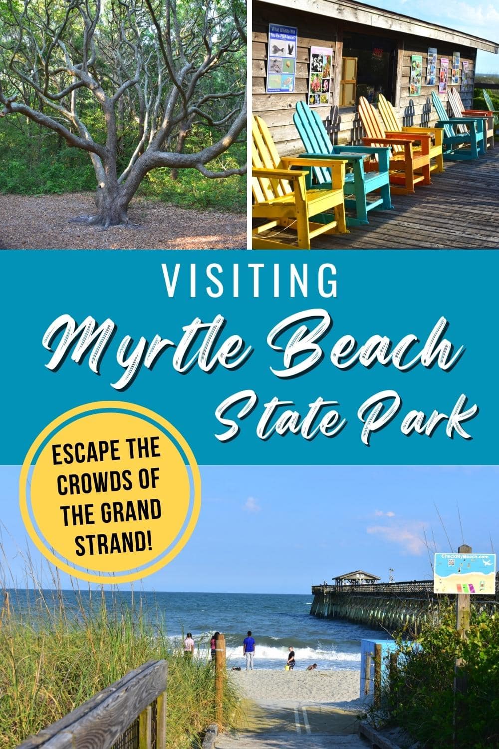 Guide to Visiting Myrtle Beach State Park, a South Carolina State Park